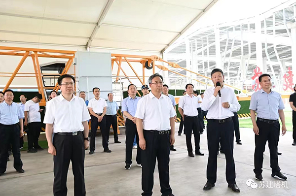 宿遷市委書記王昊，市長陳忠偉考察我公司(圖1)